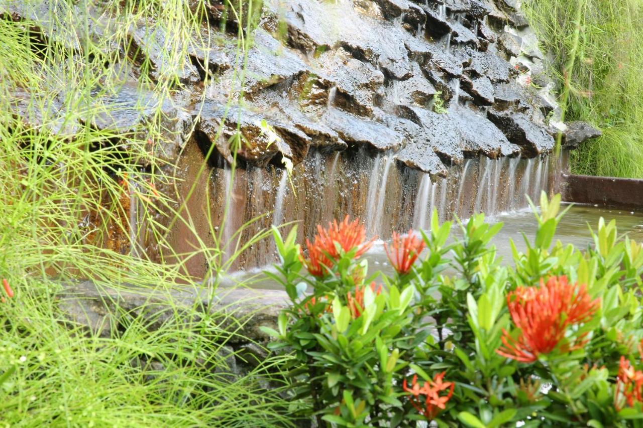 Ayurveda Centrum Lawrence Hill Paradise Hikkaduwa Dış mekan fotoğraf